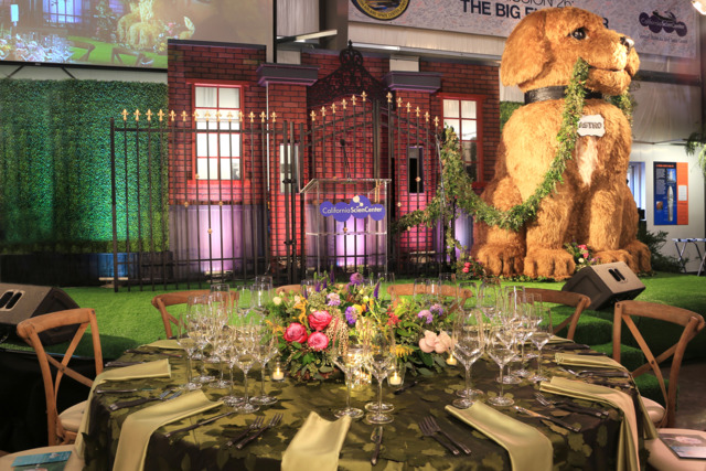 以狗狗為主元素的雞尾酒會居然在博物館舉辦 - 第7張 - 會展活動策劃CCASY.COM 以狗狗為主元素的雞尾酒會居然在博物館舉辦 - 第7張