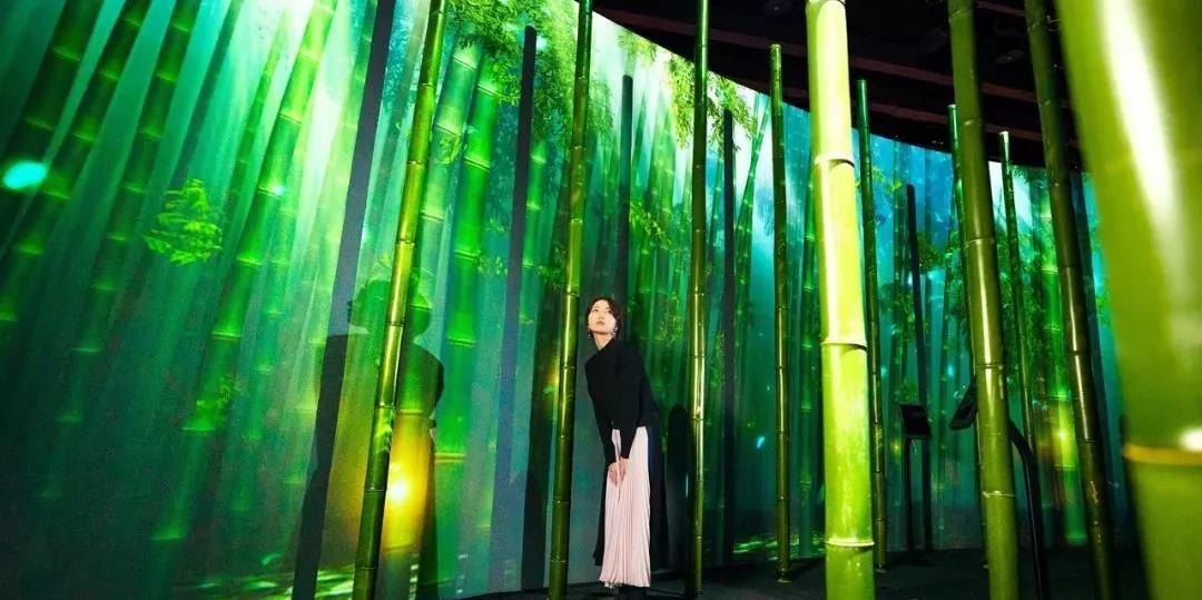 沉浸式的櫻花展覽策劃驚艷了廣大游客的目光，光影互動太厲害了！