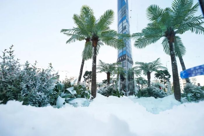 快閃店活動策劃暖了一生的陪伴，用一場22度的雪體驗(yàn)了白頭到老