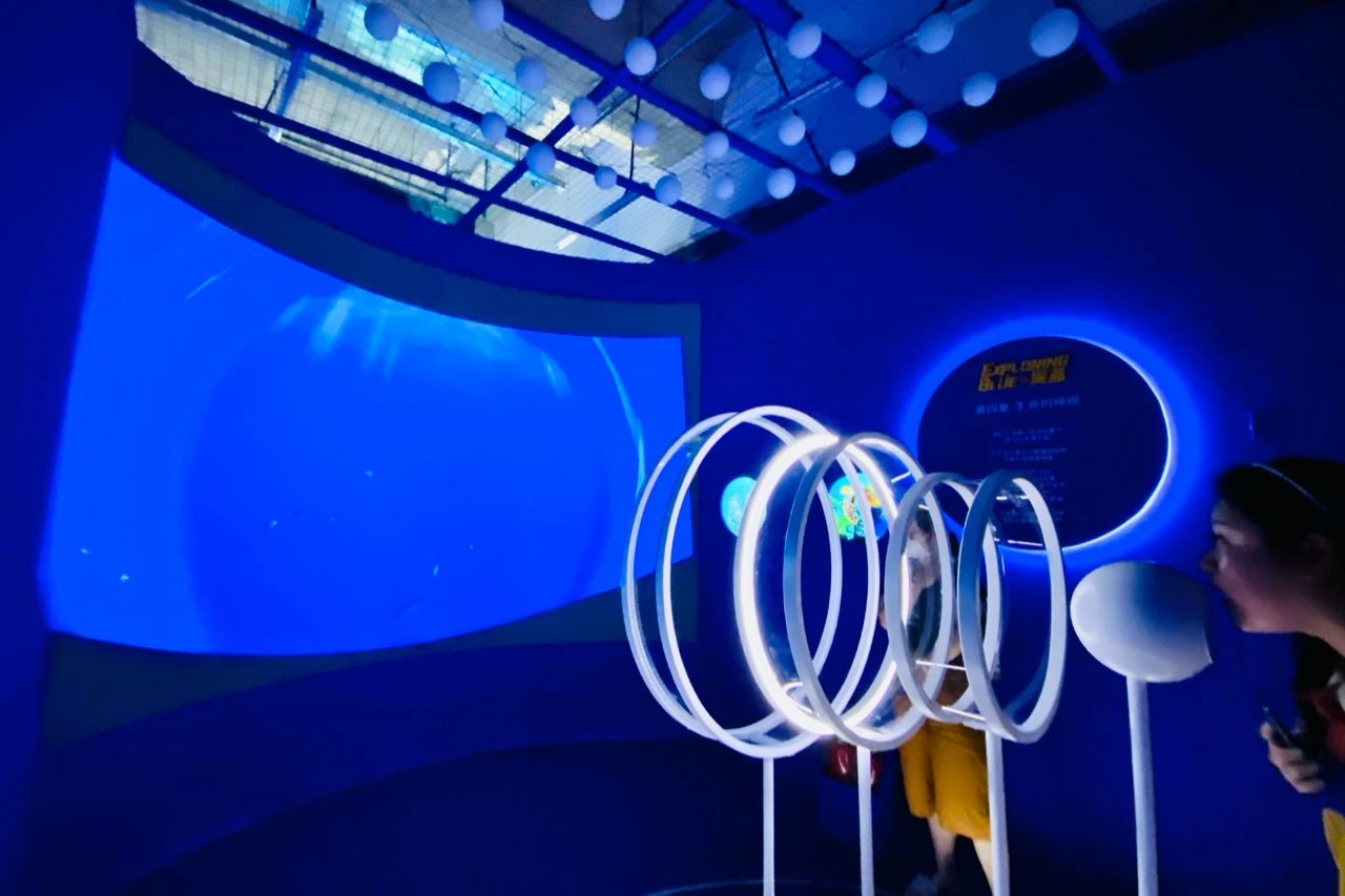 “愛混敢嗲·不期而愈”多媒體環(huán)保藝術展覽活動策劃真的很魔幻 - 第9張 - 會展活動策劃CCASY.COM “愛混敢嗲·不期而愈”多媒體環(huán)保藝術展覽活動策劃真的很魔幻 - 第9張