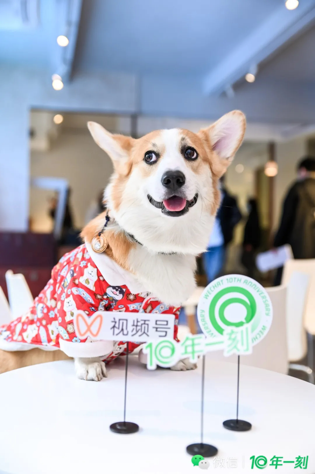 360度微信十周年沉浸式體驗(yàn)展覽活動(dòng)策劃的互動(dòng)區(qū)域有趣又好玩 - 第26張 - 會(huì)展活動(dòng)策劃CCASY.COM 360度微信十周年沉浸式體驗(yàn)展覽活動(dòng)策劃的互動(dòng)區(qū)域有趣又好玩 - 第26張