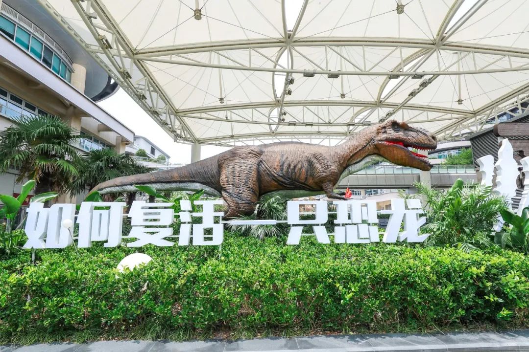 「如何復活一只恐龍」公益展覽活動策劃一秒就置身侏羅紀時代 - 第16張 - 會展活動策劃CCASY.COM 「如何復活一只恐龍」公益展覽活動策劃一秒就置身侏羅紀時代 - 第16張