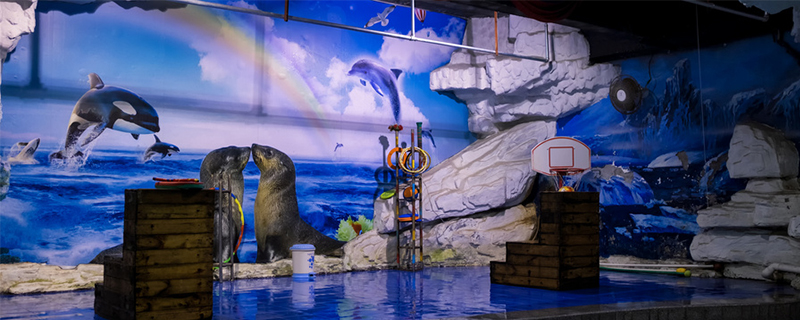 舞美設(shè)計(jì)策劃執(zhí)行的現(xiàn)代化體現(xiàn)在哪里 - 第1張 - 會(huì)展活動(dòng)策劃CCASY.COM 舞美設(shè)計(jì)策劃執(zhí)行的現(xiàn)代化體現(xiàn)在哪里 - 第1張