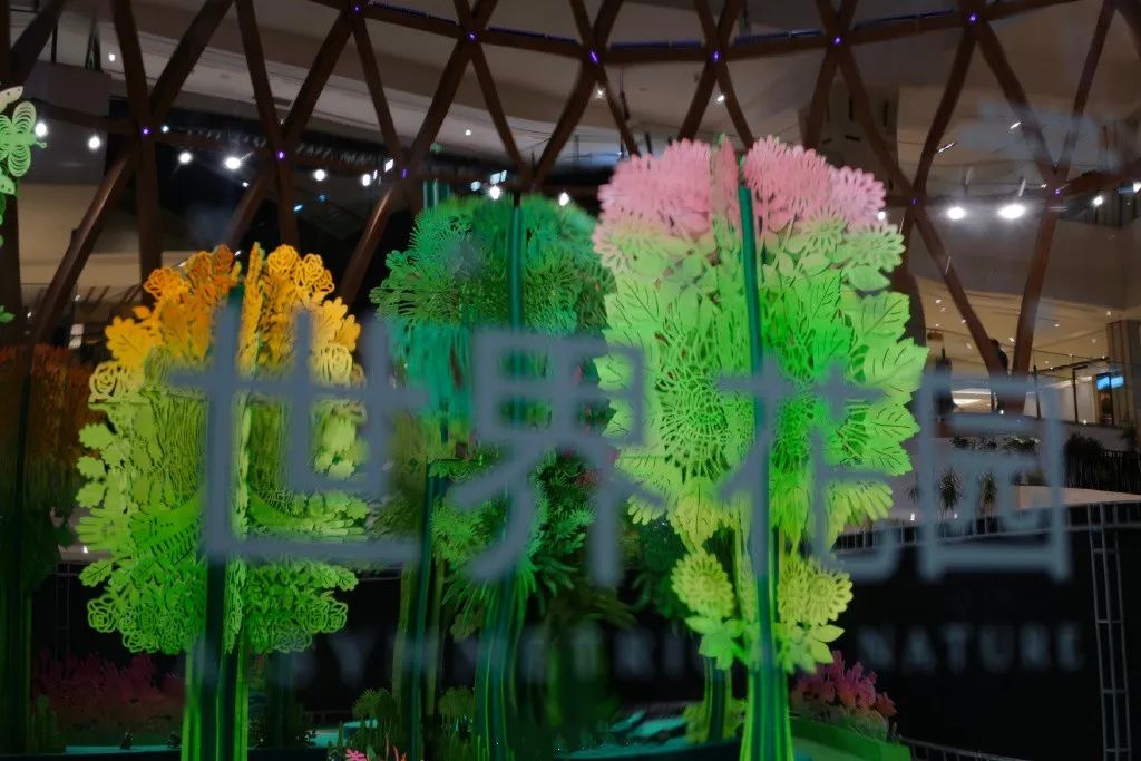 陳粉丸「對稱的自然:世界花園」展覽活動策劃以新視角和方式制造對稱 - 第17張 - 會展活動策劃CCASY.COM 陳粉丸「對稱的自然:世界花園」展覽活動策劃以新視角和方式制造對稱 - 第17張