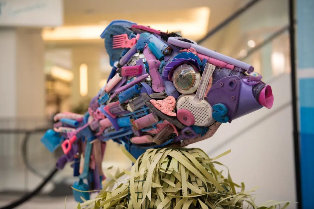 海洋垃圾藝術(shù)展覽活動(dòng)策劃的每一件作品都讓人驚嘆不已！