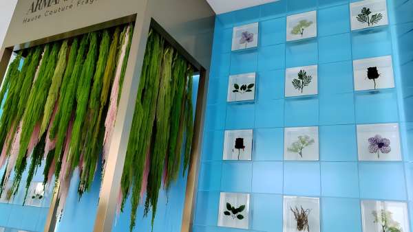 阿瑪尼「巖蘭綠洲」快閃店活動策劃邀您循香入境，回歸純粹內(nèi)心