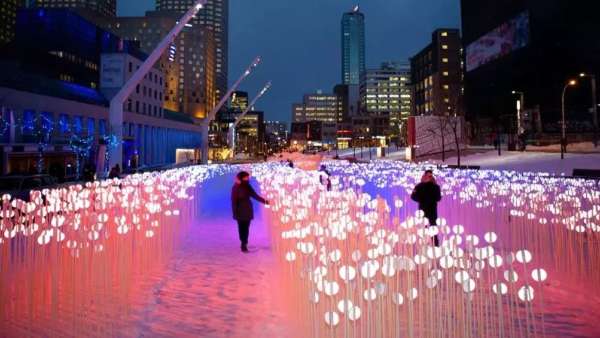 28000個(gè)白色水晶莖的燈光秀展覽活動(dòng)，反思人類(lèi)與自然環(huán)境的關(guān)系