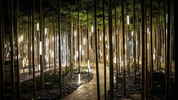 汽車(chē)發(fā)布會(huì)活動(dòng)僅用一片竹子的互動(dòng)裝置就能詮釋一切，太神奇了