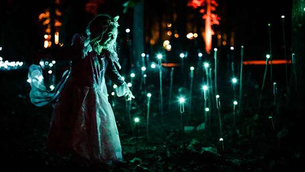 燈光秀藝術(shù)展覽活動領(lǐng)我們冬天在沉浸式森林一起漫步，走起！