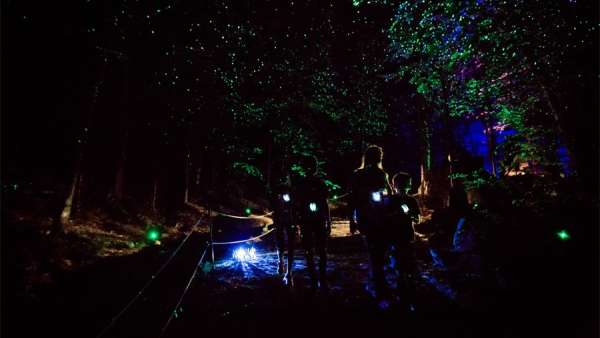 一場夜間冒險展覽活動悄然亮相，策劃形式更具挑戰(zhàn)性