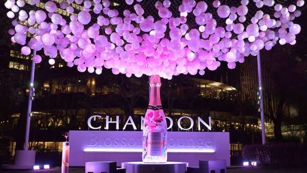 如此觀賞性極強(qiáng)的氣泡櫻花展覽活動(dòng)，不走步一波太對(duì)不住它的美