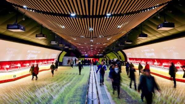 稻夢空間快閃店活動刷新了上海徐家匯地鐵通道，世外稻源原來如此