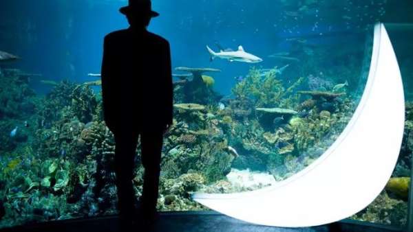 中秋節(jié)的展覽活動藝術(shù)裝置創(chuàng)意看這里，中秋節(jié)你就是這條街最靚的“仔”