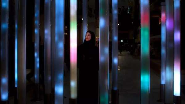 百鳥匯集的沉浸式展覽活動(dòng)讓人耳目一新，大自然的鳥舍原來如此