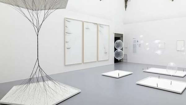 這樣的大型展覽活動(dòng)從藝術(shù)、社會(huì)到生命科學(xué)，多學(xué)科實(shí)踐的涵蓋在內(nèi)