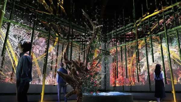 武漢櫻花季已來走，無奈只能靠商場里的主題櫻花展覽活動裝置解情仇