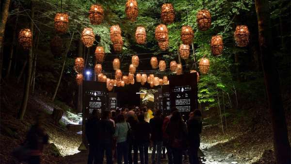 身臨其境的冒險(xiǎn)活動(dòng)派對(duì)，幻光森林的感官體驗(yàn)無(wú)與倫比