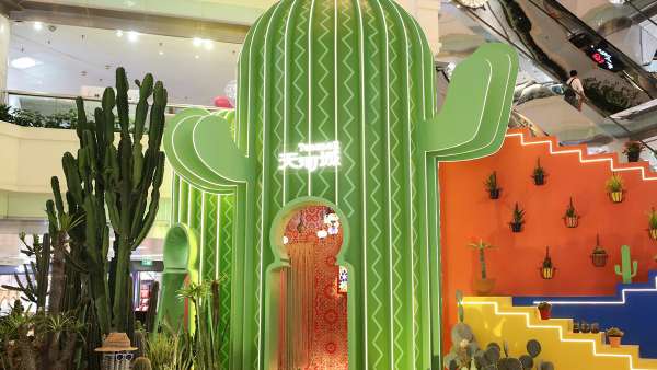 仙人掌主題會(huì)展活動(dòng)帶你“漲姿勢(shì)”啦，“仙”境之旅開(kāi)啟咯