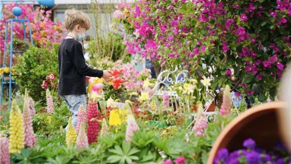 300㎡神仙級(jí)的治愈展覽活動(dòng)已備好，就等你來打卡