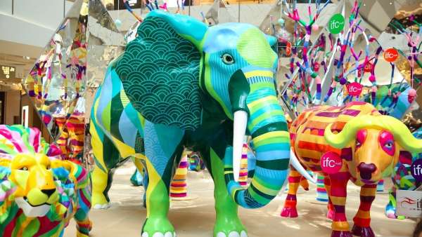 聽(tīng)說(shuō)非洲五霸受邀參加了這個(gè)藝術(shù)展覽活動(dòng)策劃的叢林萬(wàn)花筒