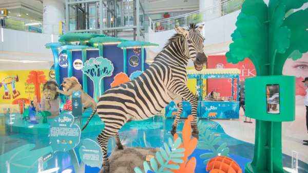 禮遇自然沉浸式展覽活動(dòng)上，兩只強(qiáng)壯的非洲獅正在打斗，萌趣又吸睛