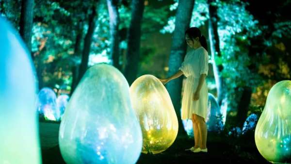 橡子森林被展覽活動刷成光之藝術(shù)空間，57種液化光色真美