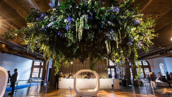 減肥機構策劃的成功節(jié)派對活動讓來賓們受到了名人般的款待