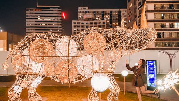 與「閃·森尋光之旅」展覽活動策劃的奇珍異獸同追尋萬物之源