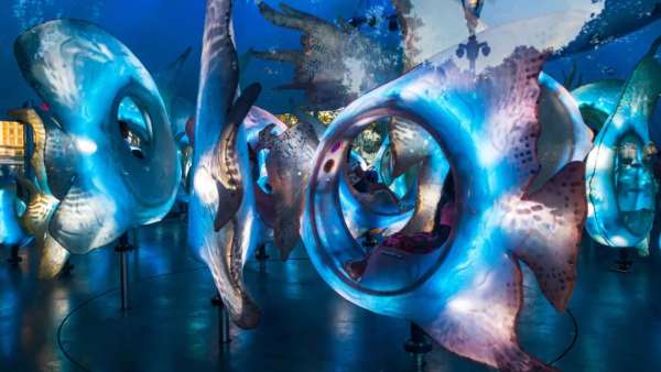SeaGlass Carouse展覽活動策劃裝置是29條閃閃發(fā)光的魚，驚呆了