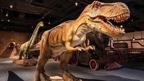 潮流爬寵動物主題展覽活動策劃的三大沉浸式展區(qū)，讓人直呼過癮