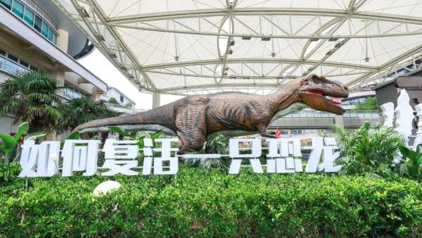 「如何復(fù)活一只恐龍」公益展覽活動(dòng)策劃一秒就置身侏羅紀(jì)時(shí)代