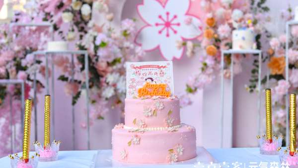 壹點壹客x元氣森林聯(lián)名發(fā)布會活動策劃，現(xiàn)場櫻花粉少女心C位出道