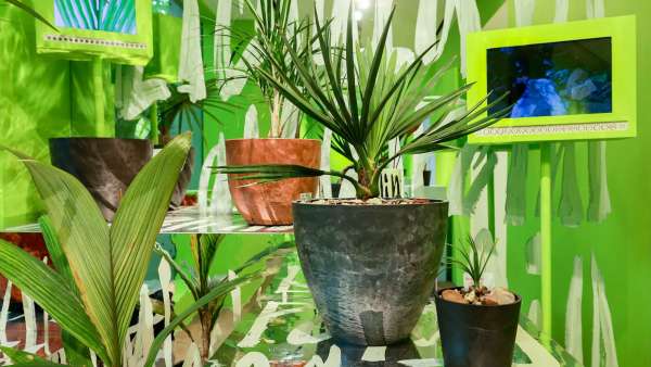 PLANTS HUMAN藝術展覽活動策劃把展廳造成了一個城市綠洲