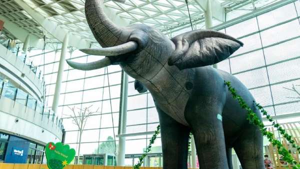 來「森島動(dòng)物園」夏季美陳活動(dòng)策劃解鎖你的動(dòng)物系生活吧