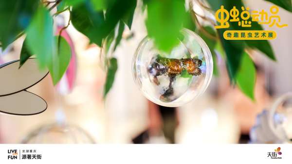 「蟲蟲總動(dòng)員」奇趣昆蟲藝術(shù)展活動(dòng)策劃讓你愛上大自然