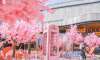 西安環(huán)球港花朝節(jié)活動策劃首發(fā)網(wǎng)紅櫻花雨太美了